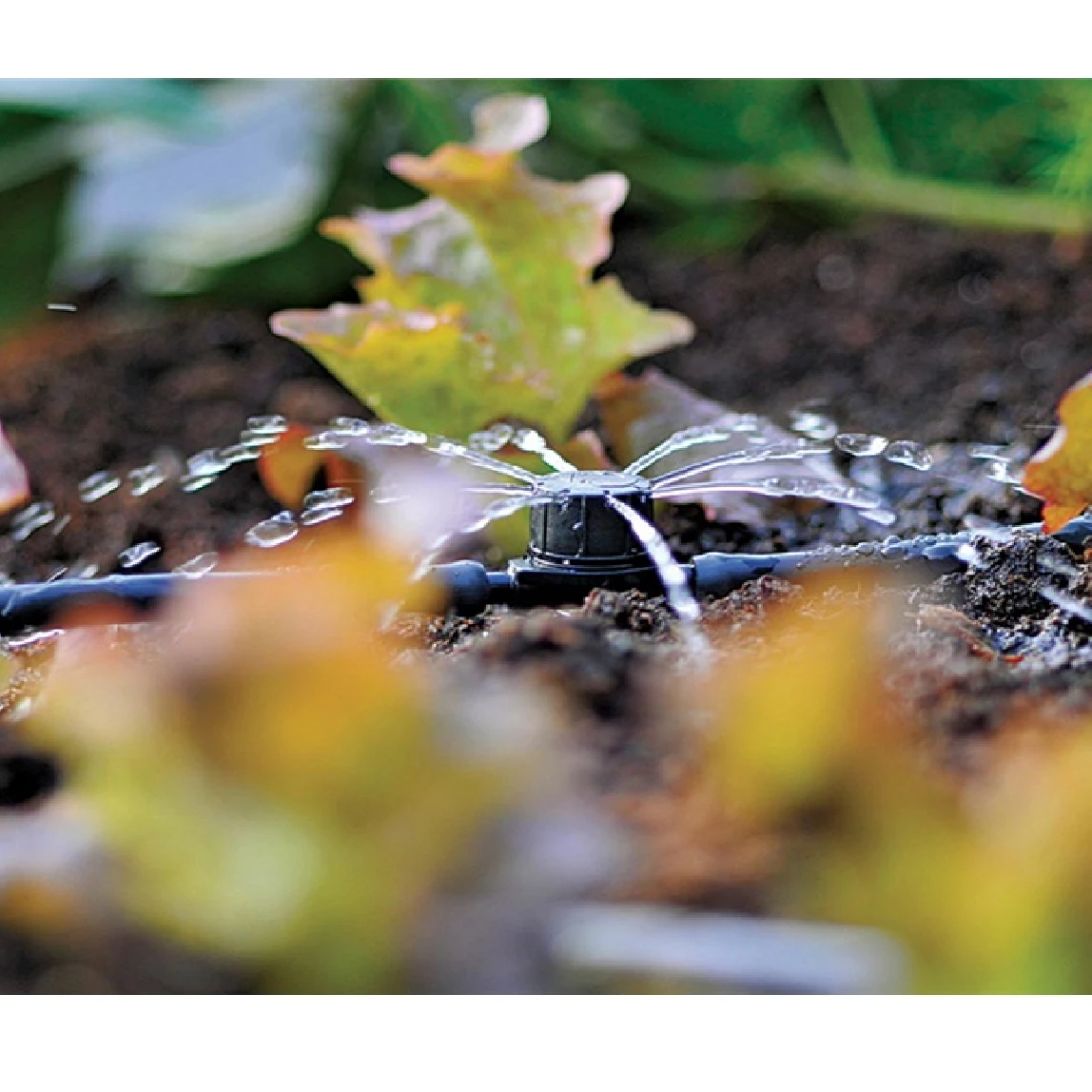 Hozelock Adjustable MINI SPRINKLER 2786 5PC/Pack 4 Hozelock Adjustable MINI SPRINKLER 2786 5PC/Pack - Image 2