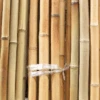 Bare Bamboo Poles 8FT, 5PC/Pk -Portwest Sales 1718184808 bamboo